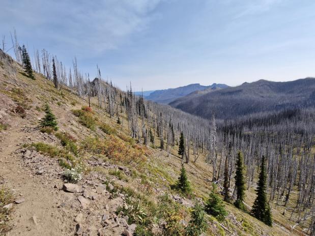 ruige en kale hellingen op de PCT