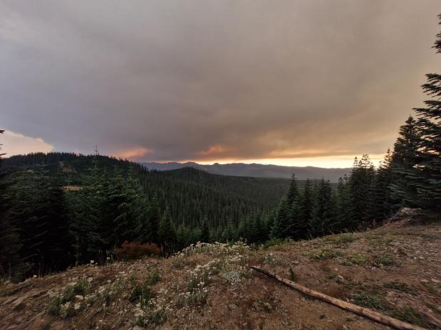 Dichte rookwolken door de Wildcat Fire Dichte rookwolken door de Wildcat Fire