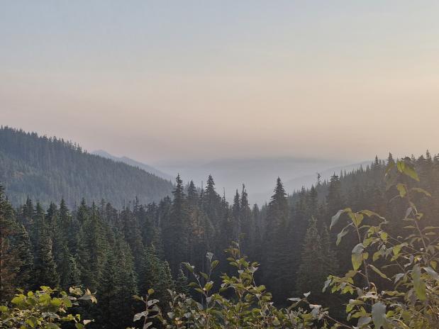 In de mist van de rook
