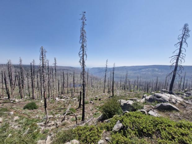 Door bosbrand verwoeste bossen langs de pacific crest trail