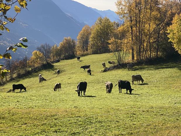 Hotel Clarezia - Graubünden