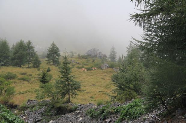 National Park Hohe Tauern Ost Tirol, Oostenrijk