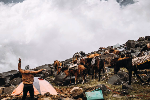 Bergeklimmerskamp met paarden bij de tenten