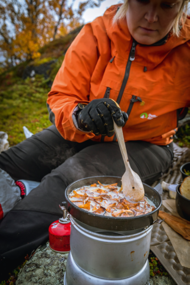 Door de vlammende bossen van Abisco