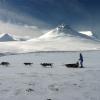 Achter de honden op een slee in de Arctische wildernis van Zweden